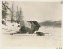 Image of Labrador sledge with box